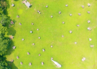 Aerial View of The Airstrip Field