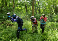 Players In Jungle Field