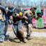 Players On The Junkyard Field