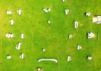 Aerial View of Skid Row Field
